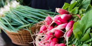 Green onions and radishes